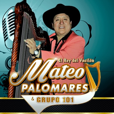 Song - Tu Imagen - MATEO PALOMARES