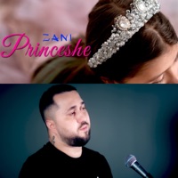 Princeshe - Single - Zani