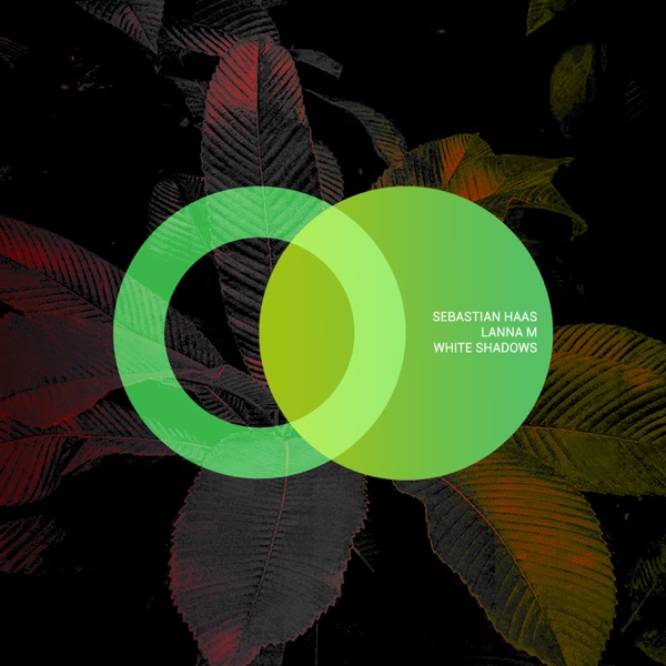 White Shadows - Single