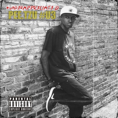 #und3rAPPR3CIAT3D(#u3)