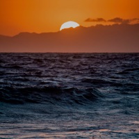 Quiet Shadows - Single - Sovande