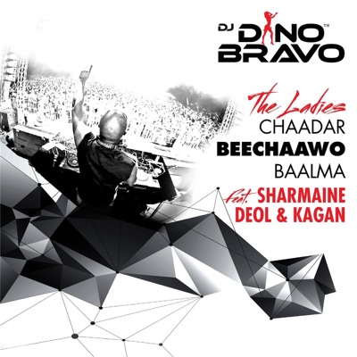 The Ladies (Chaadar Beechaawo Baalma) [feat. Sharmaine Deol & Kagan] - Single