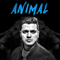 Animal - Single - Tatemusik