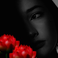 Lótus - Single - CalyFer