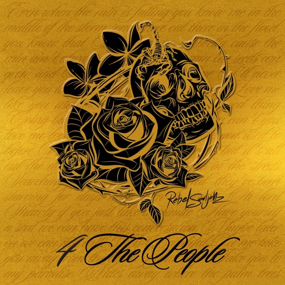 Cover artwork for Spaceship