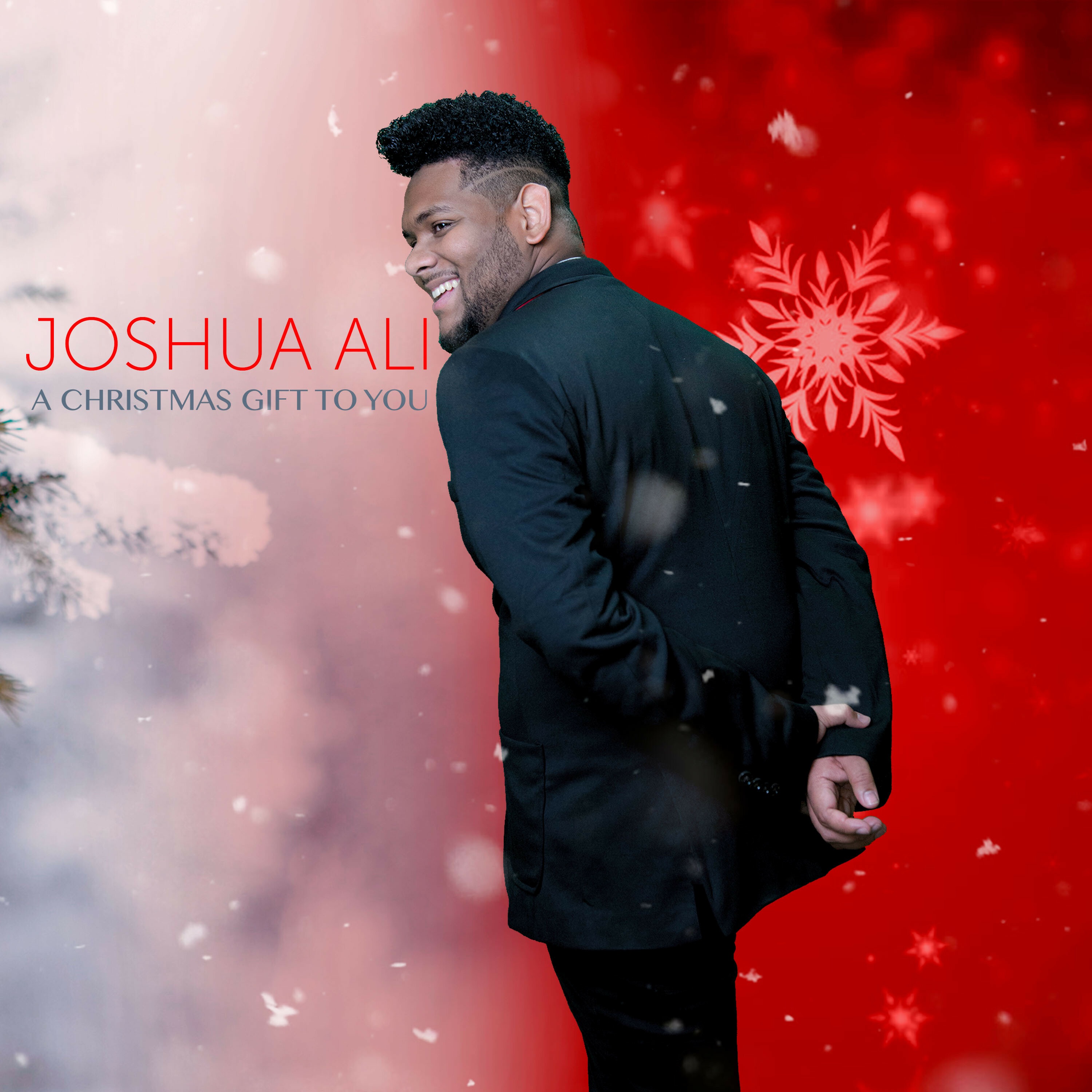 Have Yourself a Merry Little Christmas Joshua James from Fields & Floods