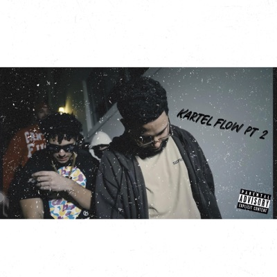 Kartel flow Pt. 2 (feat. ER) - Single