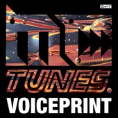 Voiceprint - MC Tunes Vs. 808 State's Greatest Bits artwork