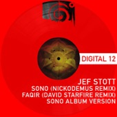 Sono (Nickodemus Remix) artwork