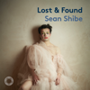 Sean Shibe - Lost & Found artwork