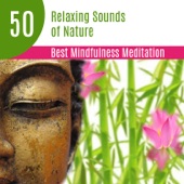 50 Relaxing Sounds of Nature: Best Mindfulness Meditation for Beginners, Yoga Classes, Spiritual Healing, Zen Music, Relax & Sleep artwork