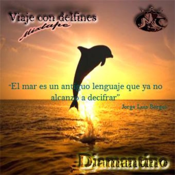 Viaje con delfines