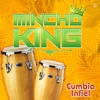 Cumbia Infiel - Single