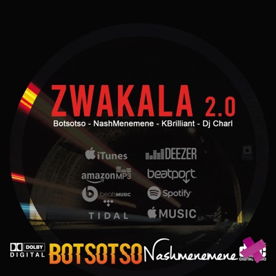 Zwakala 2.0 (feat. Botsotso, Kbrilliant & Dj Charl) - Single