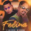 Stream & download Felina (feat. Neurose no Beat) - Single