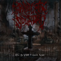 Así Es Vivir (Remastered) - Single - Proyecto Soledad & Hola Kevin