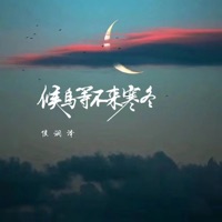 候鸟等不来寒冬 - Single - Zerun Hou