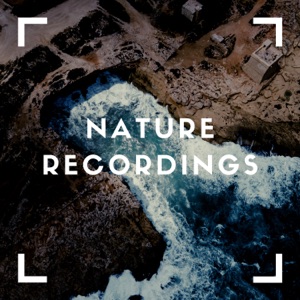 Outdoor Sounds for Mixing Sleep