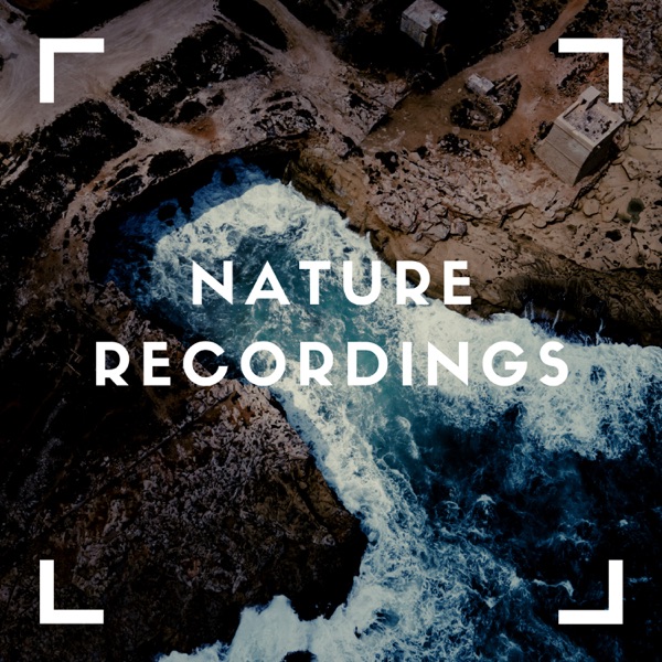 Outdoor Sounds for Mixing Sleep