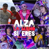 Alza La mano Si eres Boricua - Single - Leray