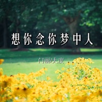 想你念你梦中人 - Single - Dadu & 门丽