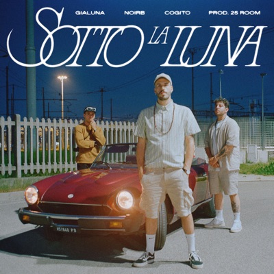 Sotto la luna – Cogito