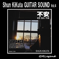 Shun KiKuta Guitar Sound, Vol. 4