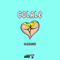 COLALE - Single - El Nova Flow