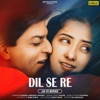 Dil Se Re (LO-FI Remix) - Single