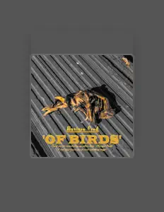 Ouve Foljad, vê vídeos de música, lê a biografia, vê as datas da digressão e muito mais!