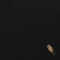 Goldfinger - Single - Fault The Producer
