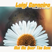 Mal Me Quer Tão Bem (feat. Marcelo Lima, Marcelo Effori, Tato Cunha, Marcelo & Ricardo & Bruno Bona) - Single - Luigi Carneiro