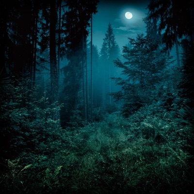 O Holy Night - Single