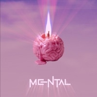 Mental (feat. Bsrwashere) - Single - Young Flux
