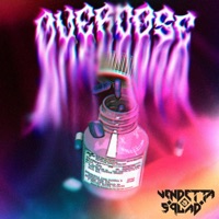Overdose - Vendetta Squad
