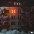 TILL I DIE