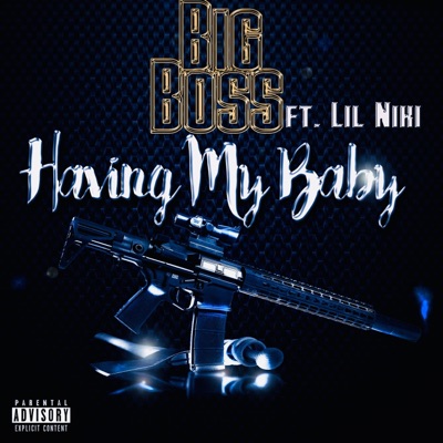 Having my Baby (feat. lil niki) - Single