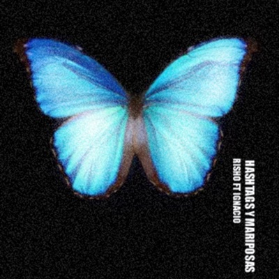 Hashtags & Mariposas (feat. Ignacio) - Single
