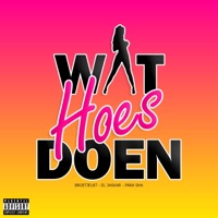 Wat Hoes Doen (feat. Broetje187 & El 3askar) - Single - Parsa