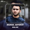 Mursel Seferov