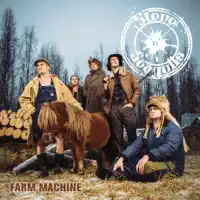 You Shook Me All Night Long — Steve'n'Seagulls