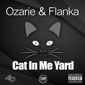 Cat in Me Yard - Single