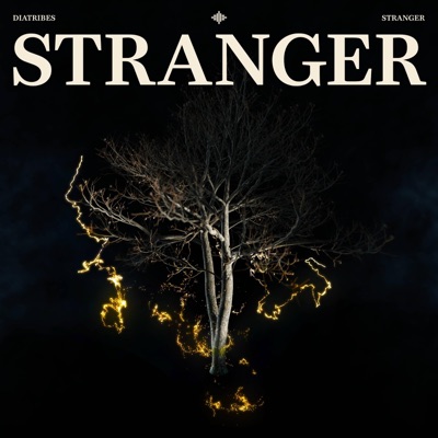 Stranger - Single