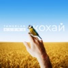 Кохай - Single