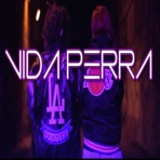 Vida Perra (feat. La Ziega & Zamarro Prod) - Single