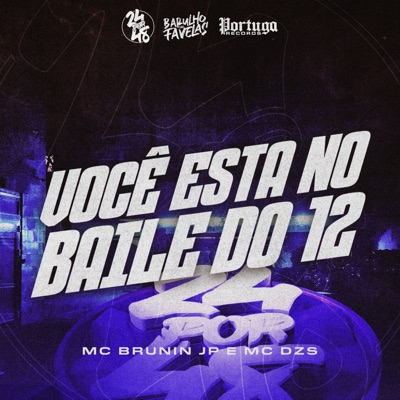 Você Esta no Baile do 12 (feat. DJ DZS) - Single