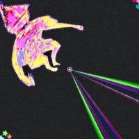 Shadow Euphoria (Remix) - Single - DJ Robbie Rods