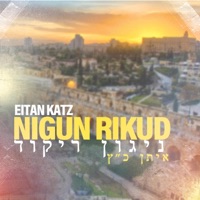 Nigun Rikud - Single - Eitan Katz