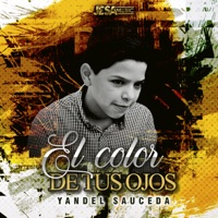 El Color de Tus Ojos - Single - Yandel Sauceda