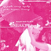 Sneaky Link (feat. CK YG) artwork